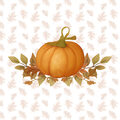 Image Not Available